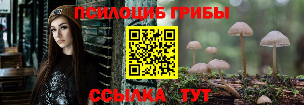 Псилоцибиновые грибы Cubensis Искитим